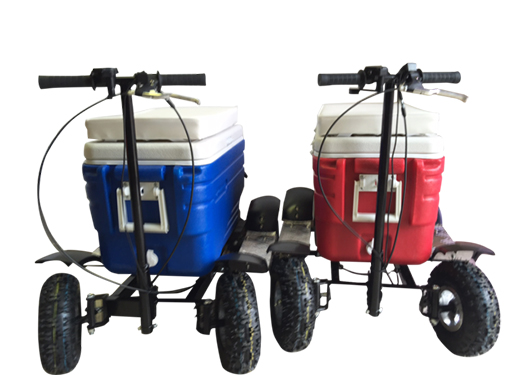 New PRO 2WD Electric Cooler Cart Fishing Mini Scooter Hot Sale - China  Wholesale Electric Cooler Scooter and Ride on Cooler price